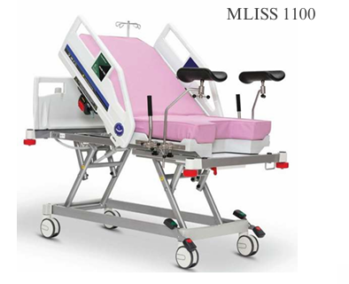 MLISS 1100